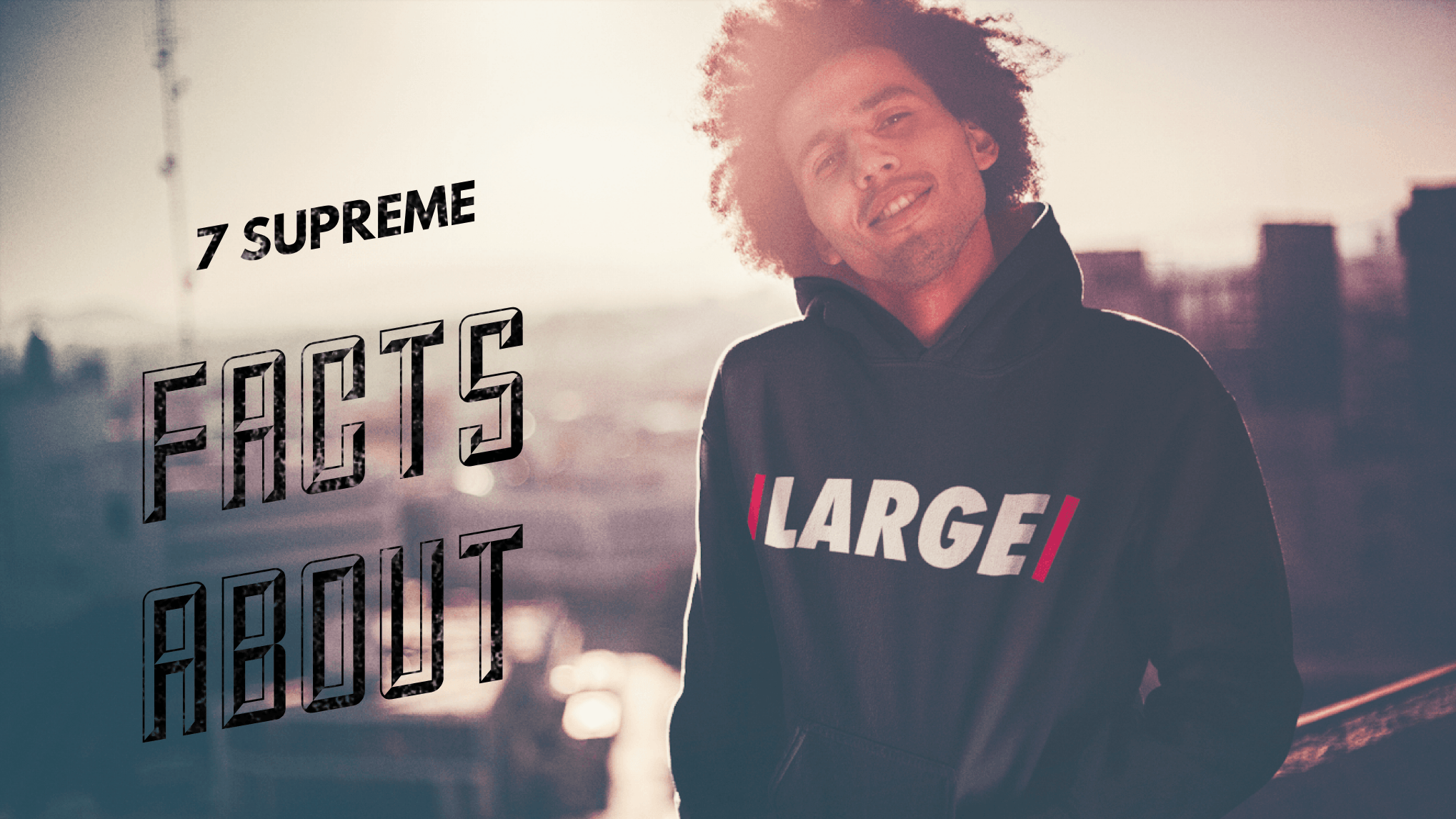 7 supreme facts about LARGE clothing company